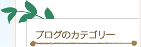 ブログのカテゴリー